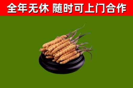 麻涌镇烟酒回收冬虫夏草.jpg